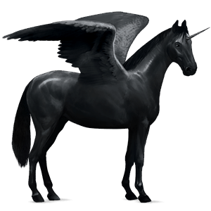 winged riding unicorn friesian black