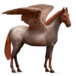 riding pegasus irish hunter strawberry roan