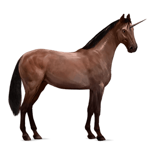 riding unicorn liver chestnut