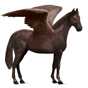 riding pegasus argentinean criollo liver chestnut