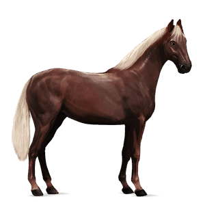 riding horse finnish chestnut