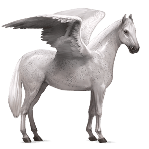 riding pegasus thoroughbred cremello