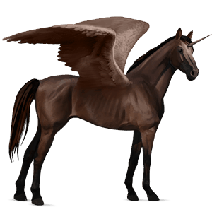 winged riding unicorn black