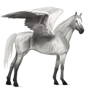 riding pegasus holsteiner light gray
