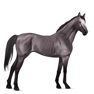 riding horse thoroughbred mouse gray