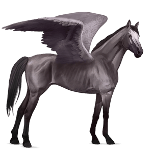 riding pegasus thoroughbred dapple gray