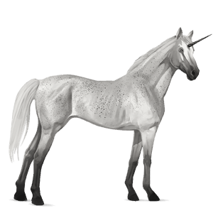 riding unicorn french trotter bay