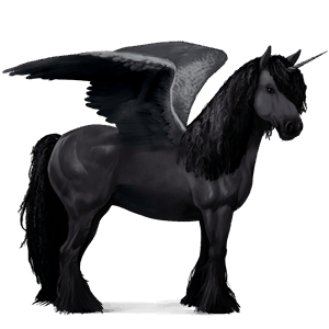 winged riding unicorn vanner black tobiano
