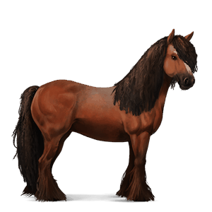 riding horse liver chestnut