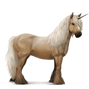 riding unicorn vanner dun