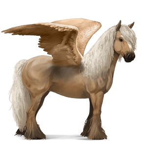 riding pegasus vanner black
