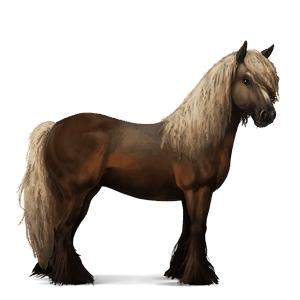 riding horse flaxen liver chestnut 