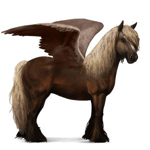 riding pegasus vanner cherry bay tobiano