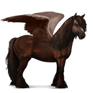 riding pegasus nokota dark bay