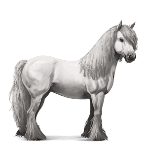 riding horse quarter horse black