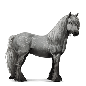riding horse vanner mouse gray