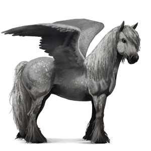 riding pegasus vanner chestnut tobiano