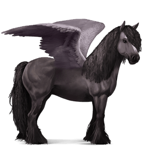 riding pegasus vanner black tobiano