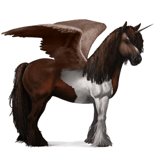 winged riding unicorn vanner dark bay tobiano