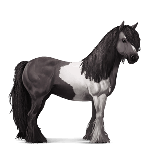 riding horse vanner dapple gray tobiano