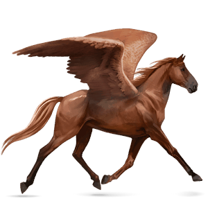 riding pegasus chestnut