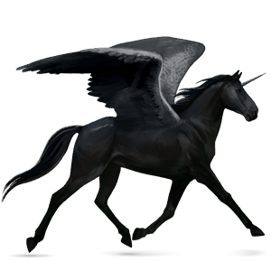 winged riding unicorn black