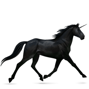 riding unicorn french trotter black
