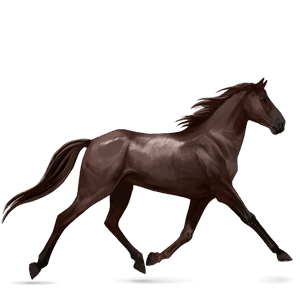 riding horse french trotter liver chestnut