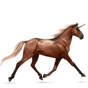 riding unicorn dark bay