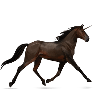 riding unicorn french trotter dark bay
