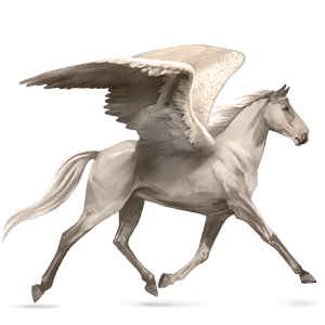 riding pegasus dun tobiano