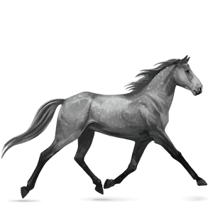 riding horse light gray
