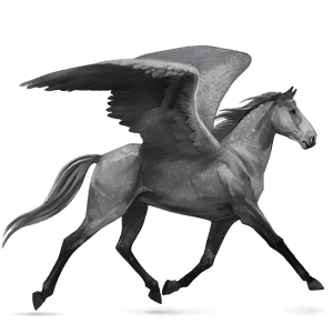 riding pegasus thoroughbred dapple gray