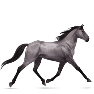 riding horse quarter horse strawberry roan