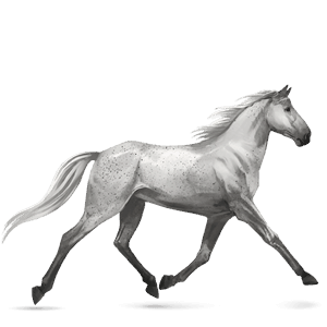 riding horse thoroughbred chestnut