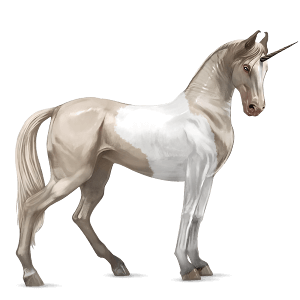 riding unicorn palomino