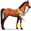 riding unicorn desert