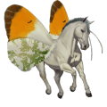 riding unicorn black