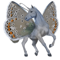 riding horse knabstrupper chestnut snowflake 
