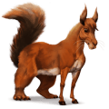 wild horse squirrel