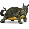 wild horse turtle