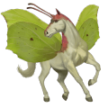 riding horse dun
