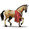 riding unicorn mangalarga marchador light gray