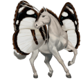 riding horse vanner mouse gray tobiano