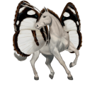 riding unicorn appaloosa bay blanket 