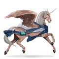 riding horse black overo