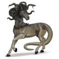 riding horse mustang roan
