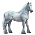 divine horse greyfell   1