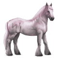 divine horse greyfell   6