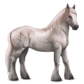 divine horse greyfell   7